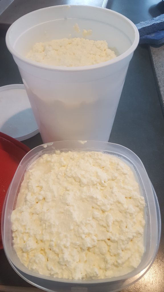 The finished cottage cheese